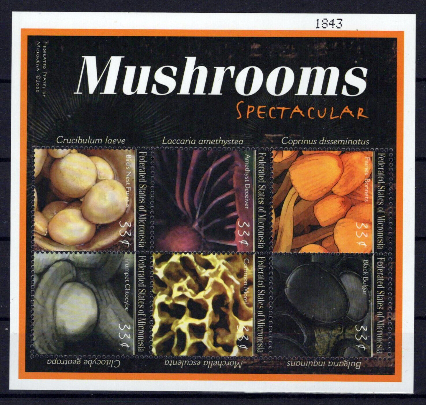 Micronesia 381 MNH Mushrooms Fungi Plants Nature