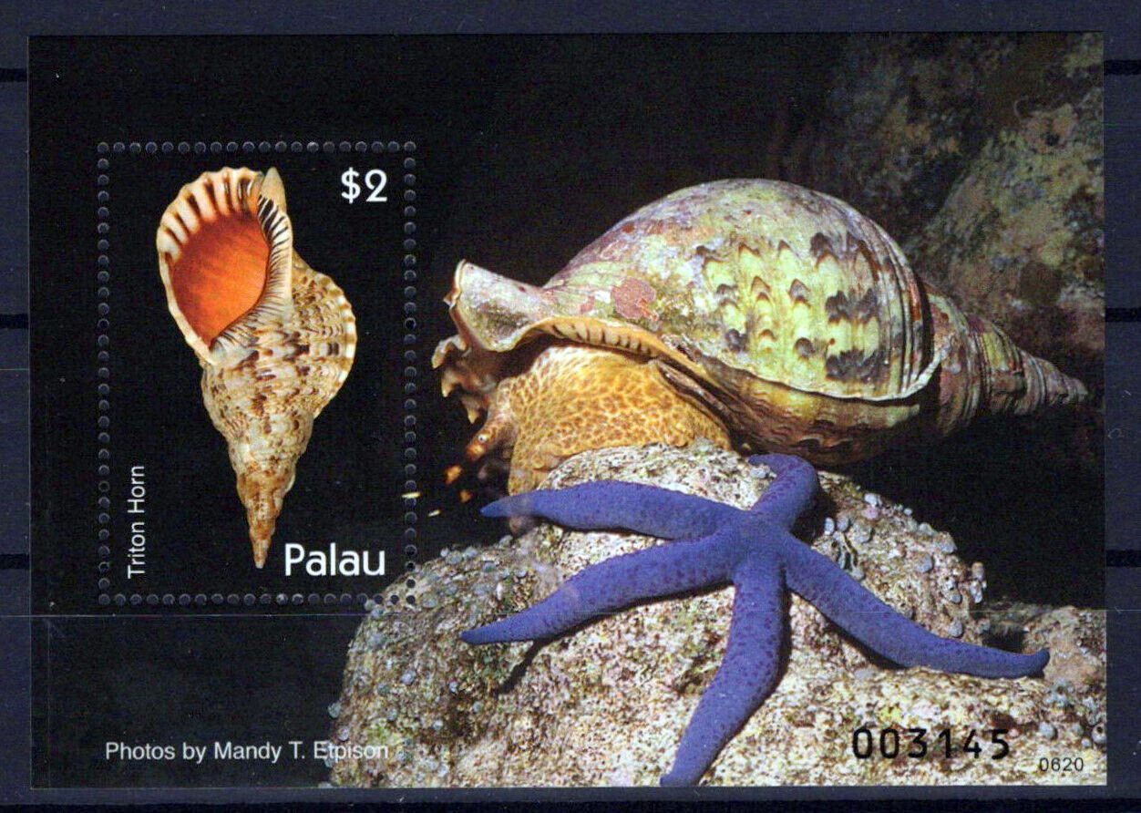 Palau 887 MNH Marine Life Seashells