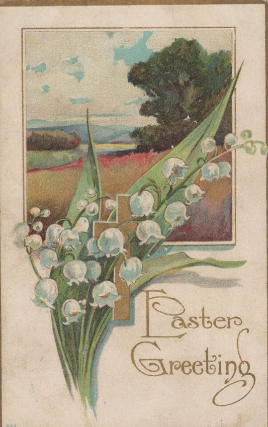 ZAYIX US Postcard Easter Greeting Lilies Flowers 1909 Murray KY Duplex 0324M0336