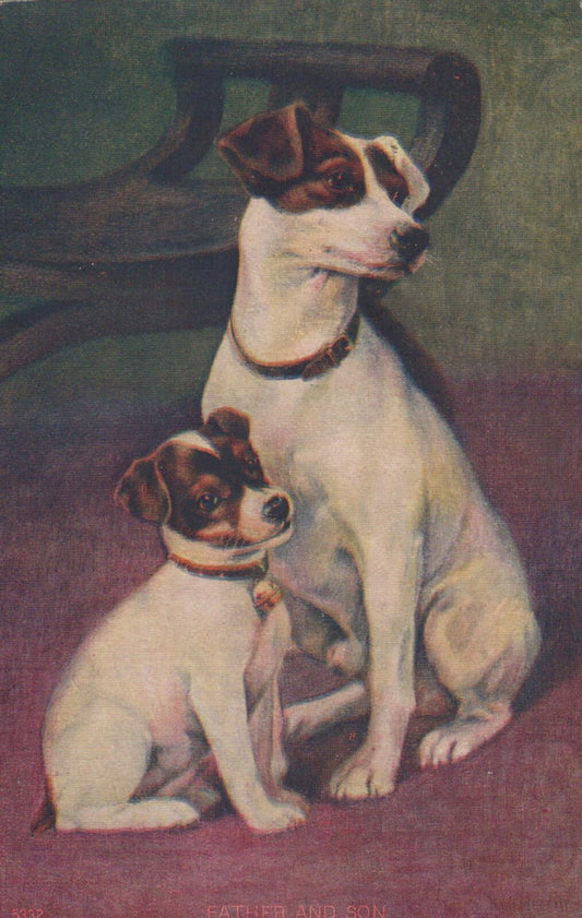 ZAYIX US Postcard Dogs Jack Russell Terrier Father and Son Murray KY 1909