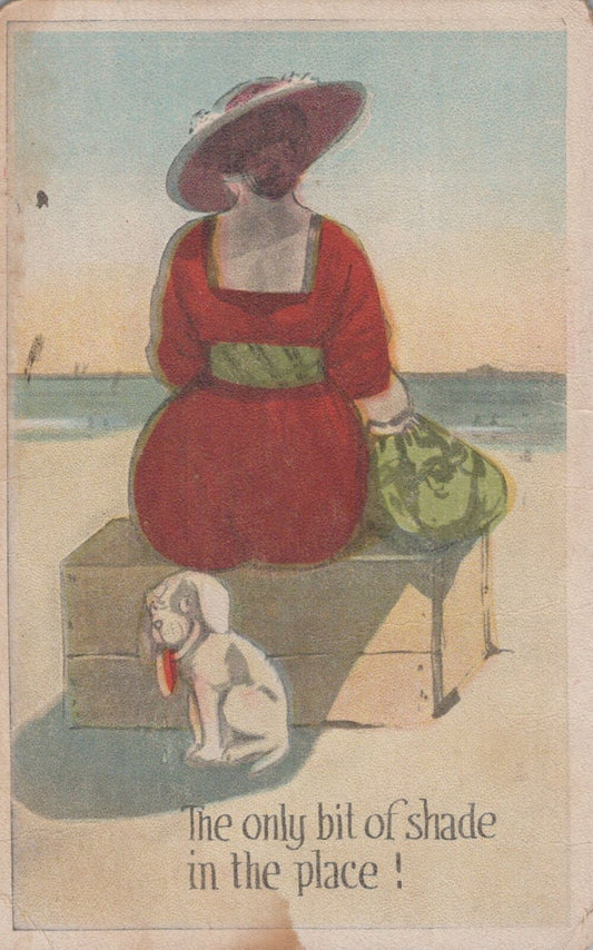 ZAYIX US Postcard Beach Comics 6 "Only Bit of Shade" dog humor 0324M0327