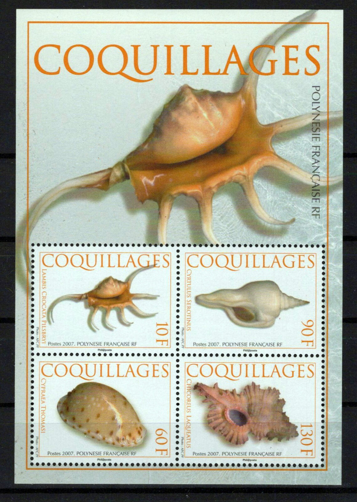 French Polynesia 947a MNH Seashells Marine Life ZAYIX 0524M0219