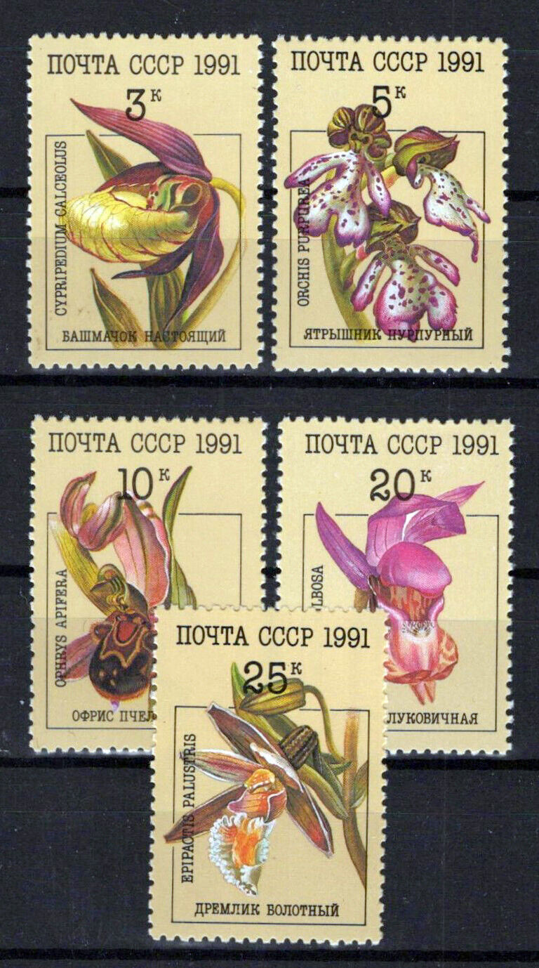 Russia 5994-5998 MNH Orchids Flowers Plants ZAYIX 0624S0285