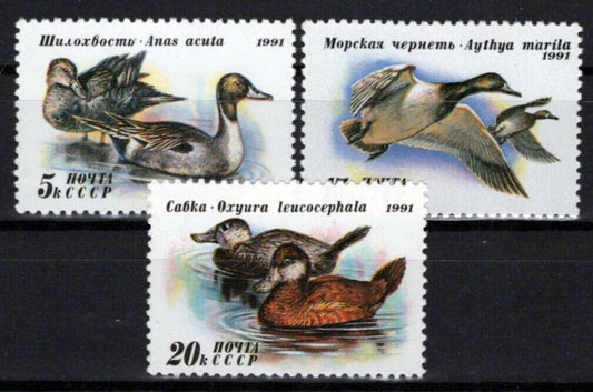 Russia 6009-6011 MNH Birds Ducks ZAYIX 0624S0254