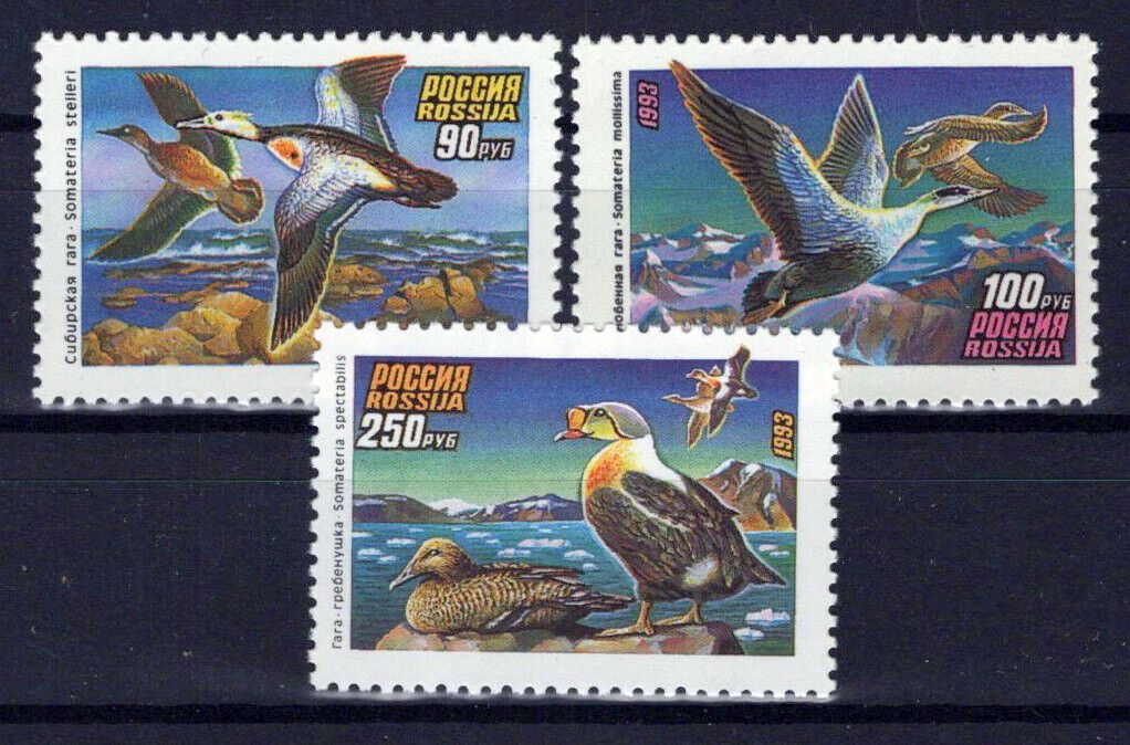 Russia 6155-6157 MNH Birds Ducks ZAYIX 0624S0258