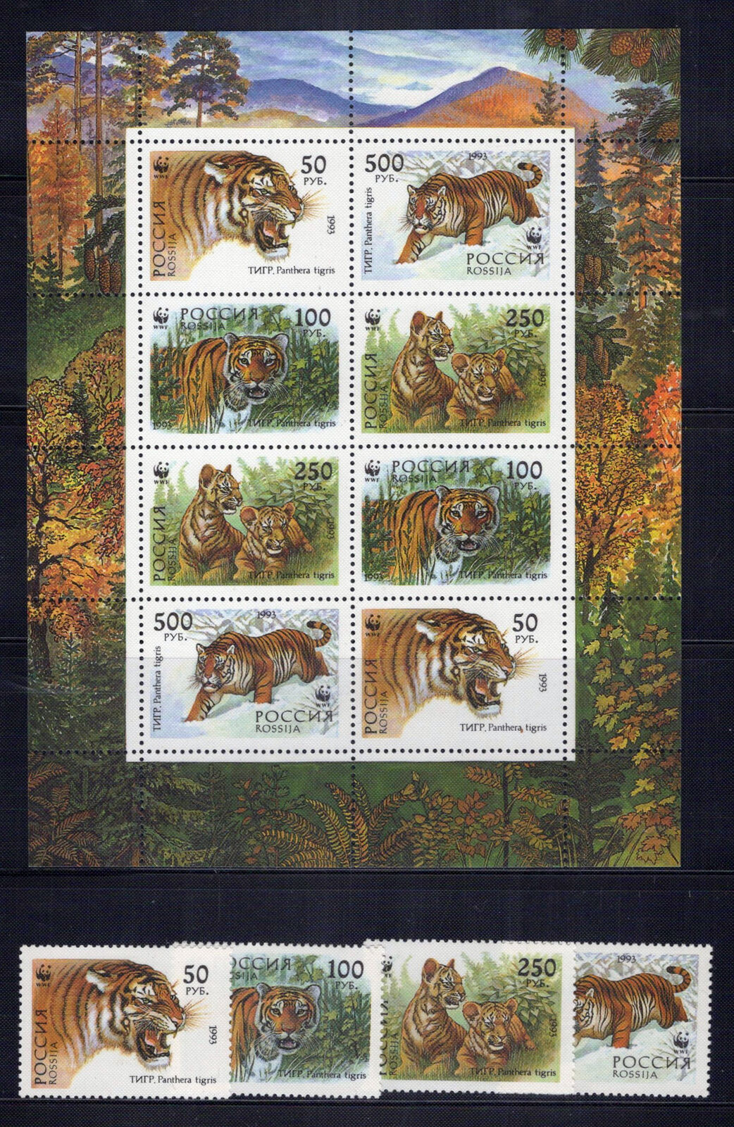 Russia 6178-6181b MNH Wild Cats Tigers Animals ZAYIX 0624M0040