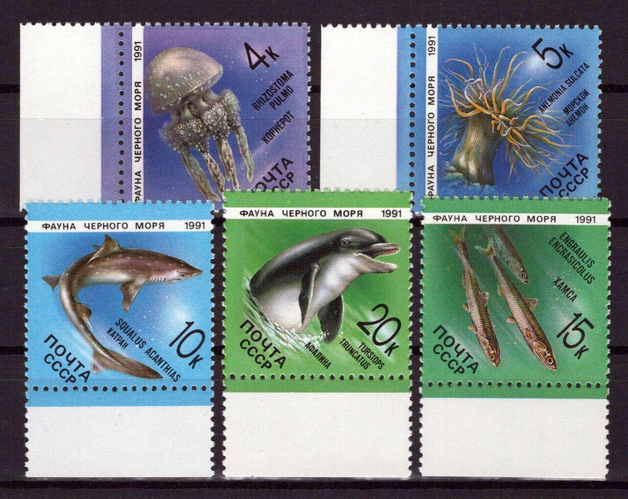 Russian 5954-5958 MNH Marine Life Fish Dolphins ZAYIX 0624S0488