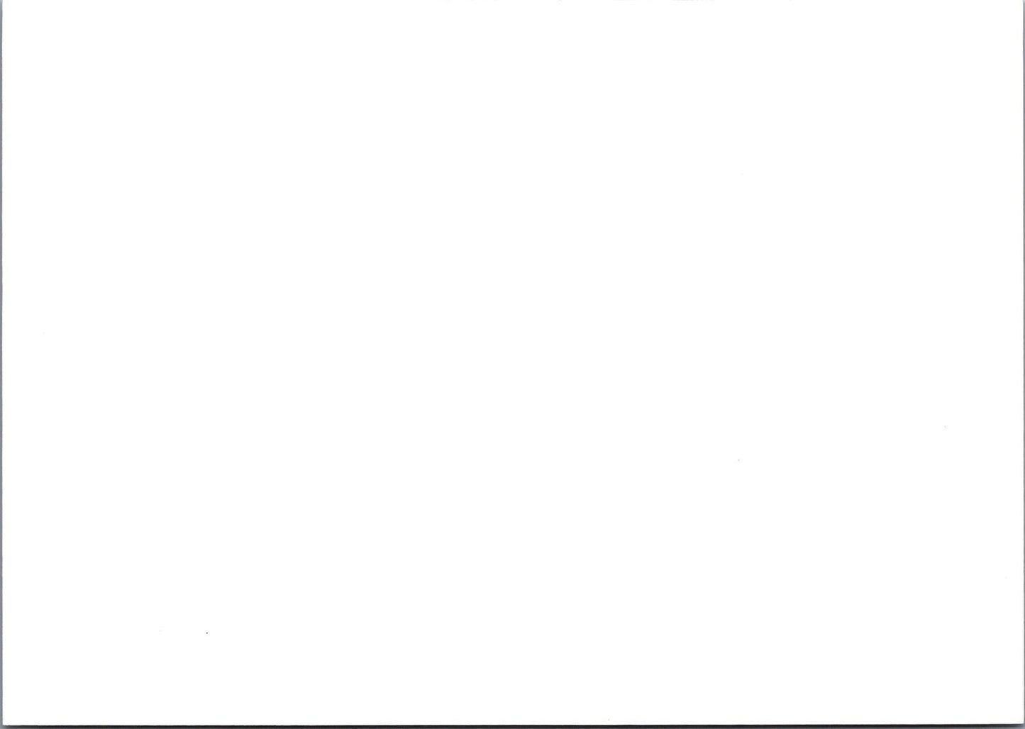 Russia / USSR Postal Card Stationery Origami / Birds / Cranes ZAYIX 070422SM167