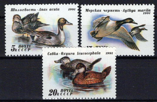 Russia 6009-6011 MNH Birds Ducks ZAYIX 1024S0096