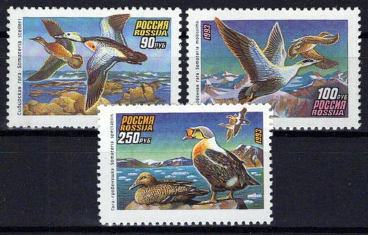 Russia 6155-6157 MNH Birds Ducks ZAYIX 1024S0088