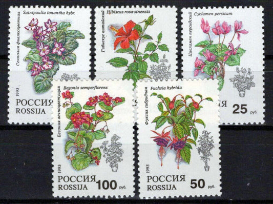 Russia 6133-6137 MNH Flowers Plants Nature ZAYIX 1024S0081