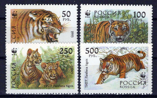 Russia 6178-6181 MNH Wild Cats Tigers Animals ZAYIX 1024S0089