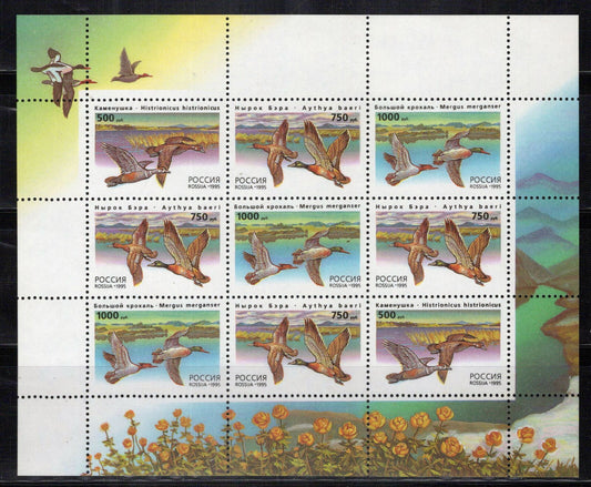 Russia 6286a MNH Ducks Birds ZAYIX 0724M0165