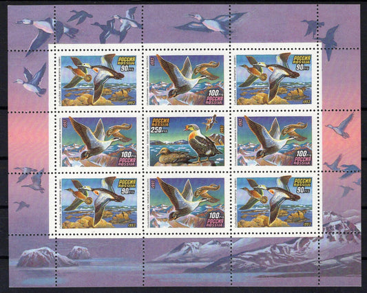 Russia 6157a MNH Ducks Birds ZAYIX 0724M0183