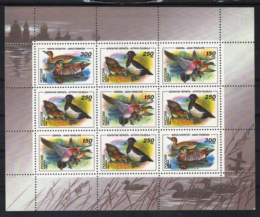 Russia 6222a MNH Ducks Birds ZAYIX 0724M0182