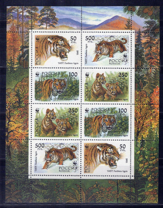 Russia 6181b MNH Wild Cats Tigers Animals ZAYIX 0724M0166