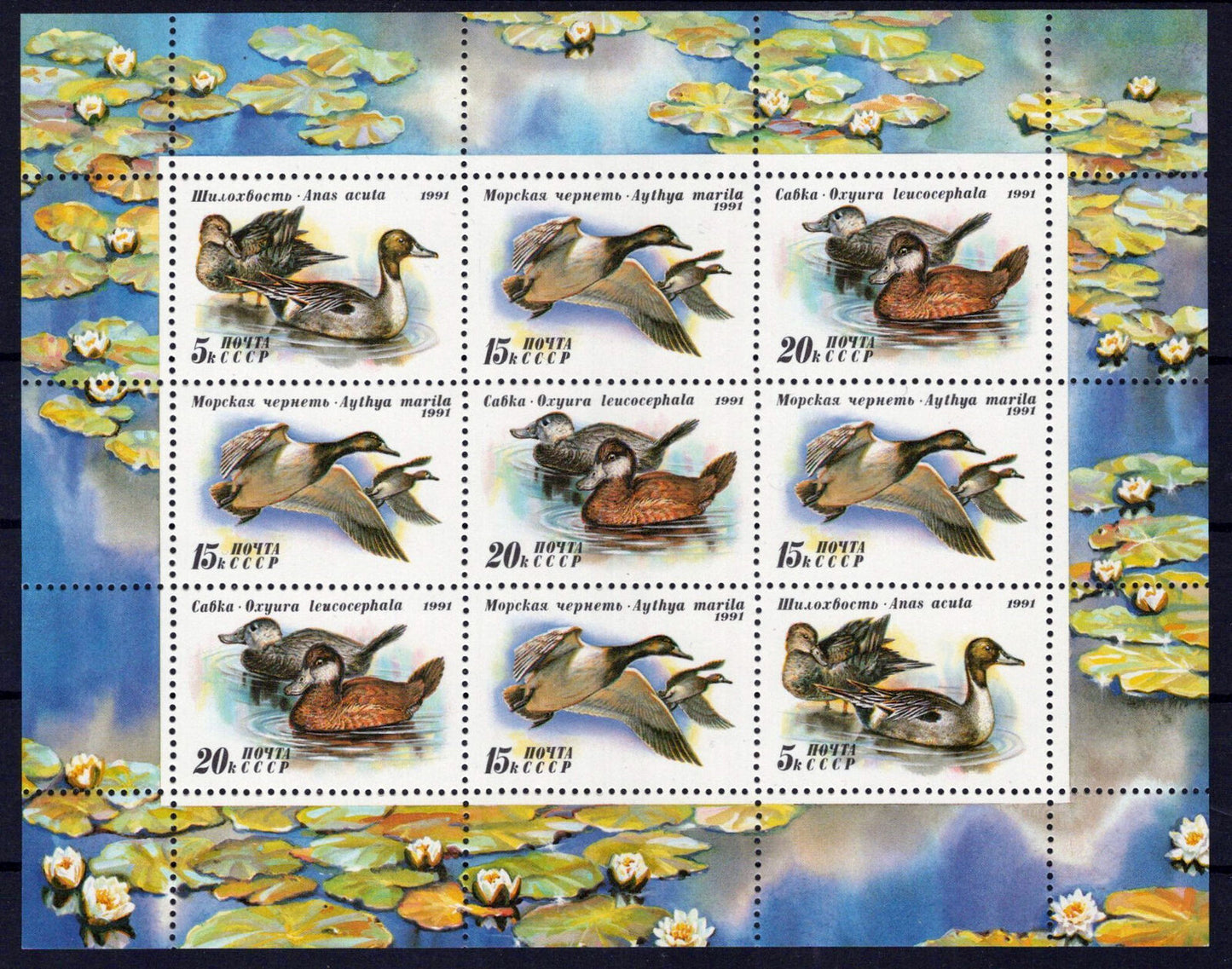 Russia 6011a MNH Ducks Birds ZAYIX 0724M0184