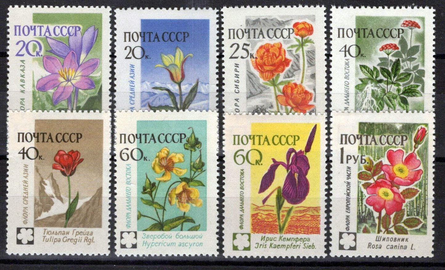 Russia 2408-2415 MNH Flowers Plants Nature ZAYIX 1024S0229