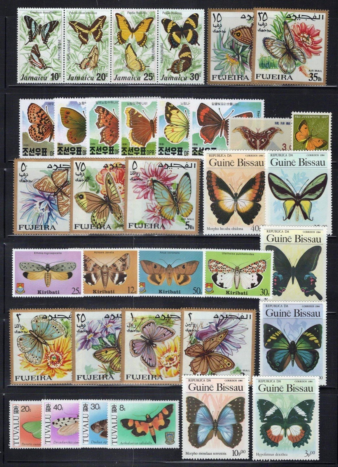Butterfly Collection MNH Insects Nature Moths ZAYIX