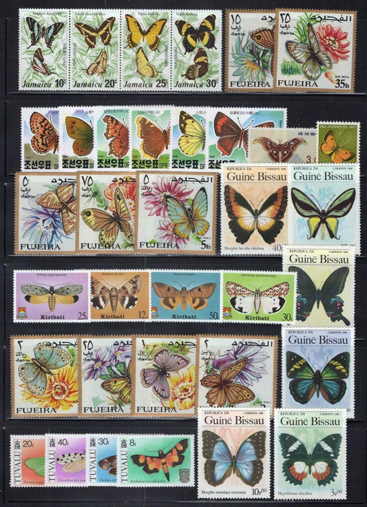 Butterfly Collection MNH Insects Nature Moths ZAYIX