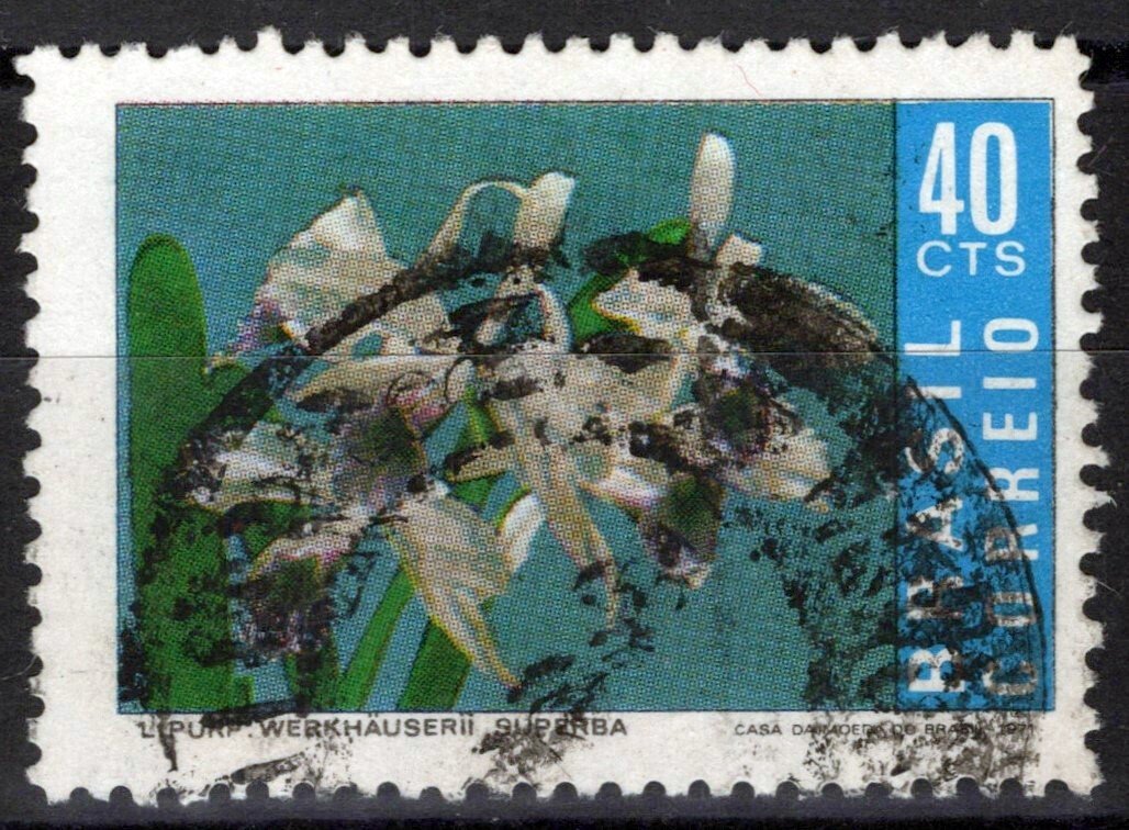 Brazil 1203 Used Flowers Plants Botanist Carlos Werkhauser ZAYIX 071423S08