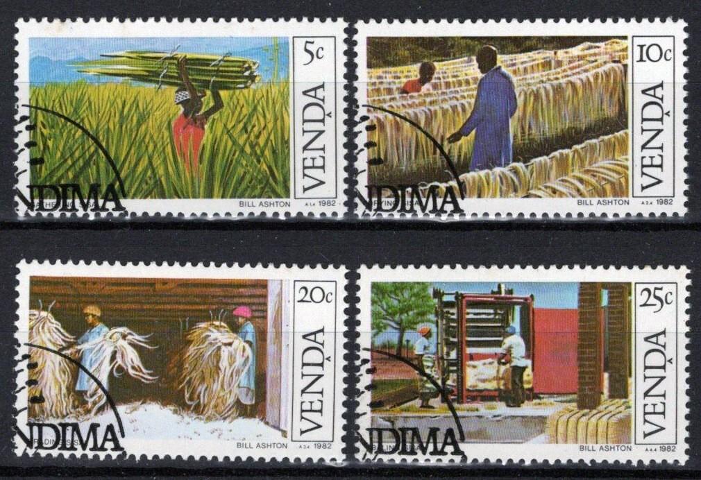 South Africa Venda 56-59 CTO Sisal Cultivation Farming Industry ZAYIX 092022S97M