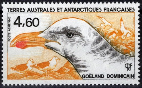 FSAT TAAF C91 MNH Sea Gulls Birds Antarctica ZAYIX FSA-S0227M