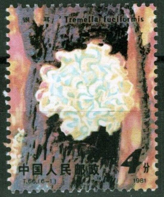 China PRC 1703 MNH Edible Mushroom Fungus ZAYIX 100222S03M