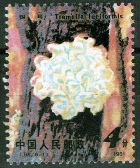 China PRC 1703 MNH Edible Mushroom Fungus ZAYIX 100222S03M