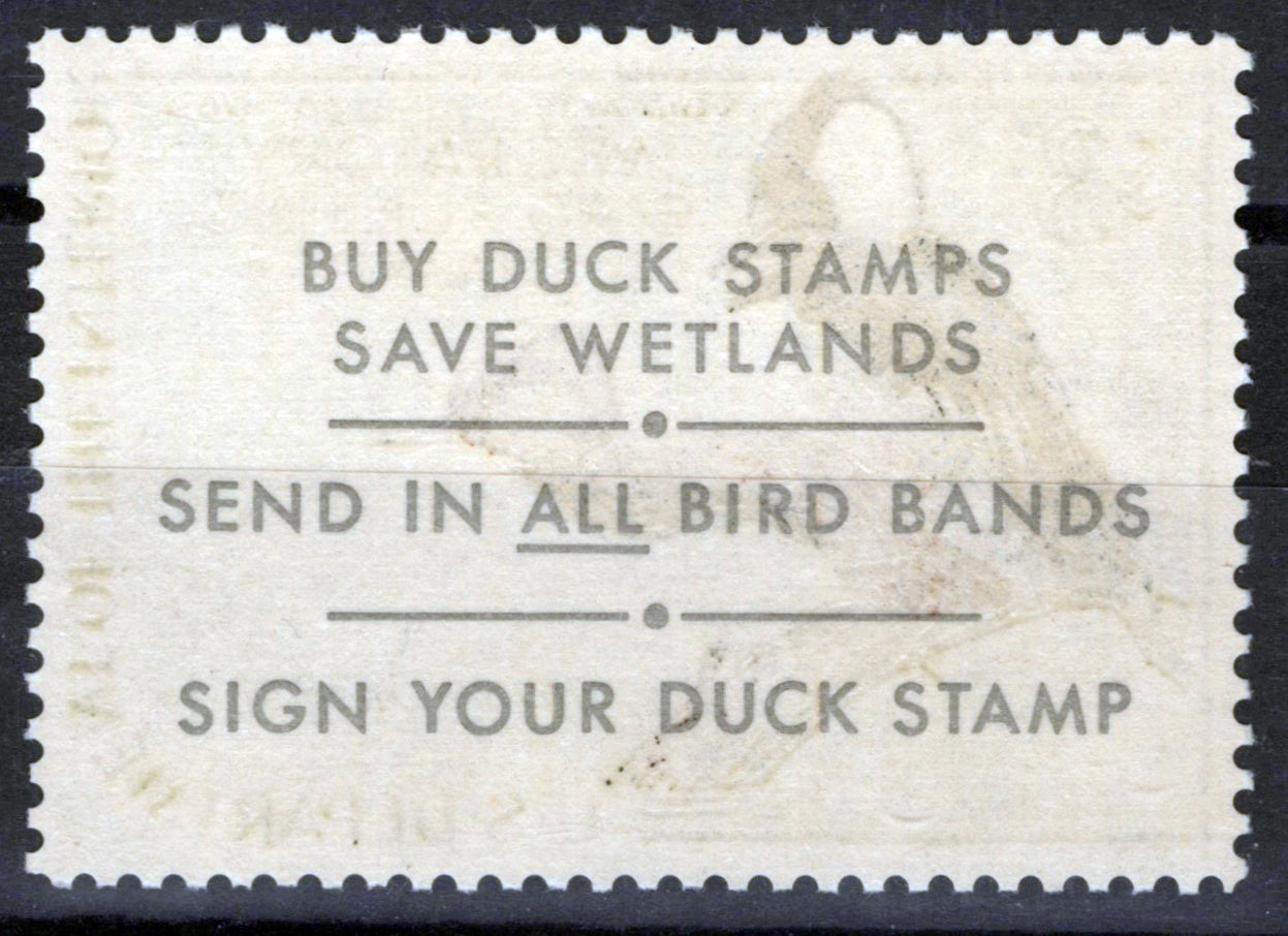 US RW35 MNH VF $3 Hooded Mergansers Duck Revenue Zayix Stamps 0225MAR0053