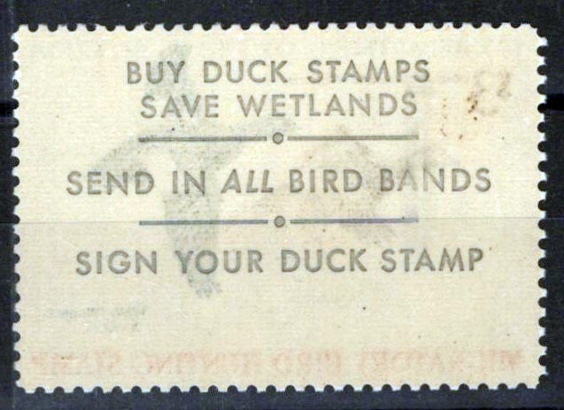 US RW36 MNH FVF $3 White-winged Scoters Duck Revenue Zayix Stamps 0225MAR0054