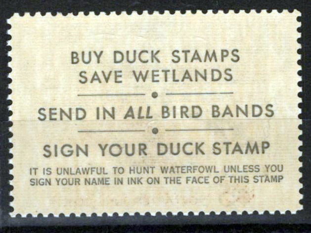 US RW40 MNH VF $5 Steller's Elders Duck Revenue Zayix Stamps 0225MAR0058