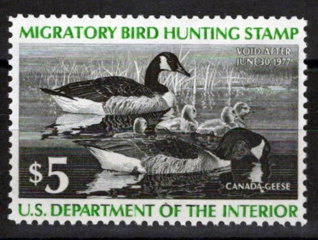 US RW43 MNH VF $5 Canada Geese Family Duck Revenue Zayix Stamps 0225MAR0061