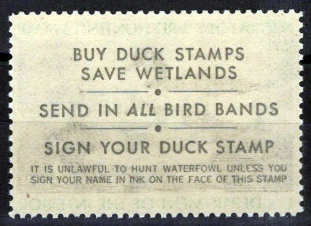 US RW43 MNH VF $5 Canada Geese Family Duck Revenue Zayix Stamps 0225MAR0061