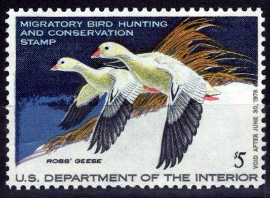 US RW44 MNH VF $5 Pair of Ross's Geese Duck Revenue Zayix Stamps 0225MAR0062