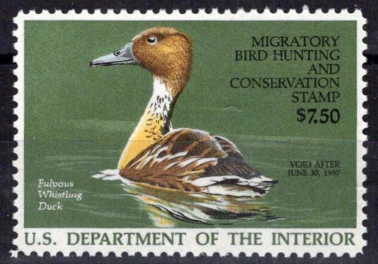 US RW53 MNH VF Fulvous Whistling Duck Duck Revenue Zayix Stamps 0225MAR0071