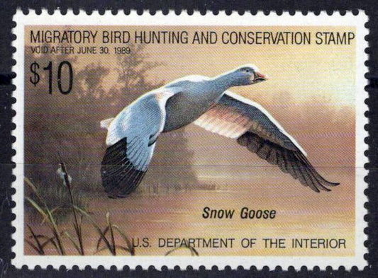 US RW55 MNH VF $10 Snow Goose Duck Revenue Zayix Stamps 0225MAR0073