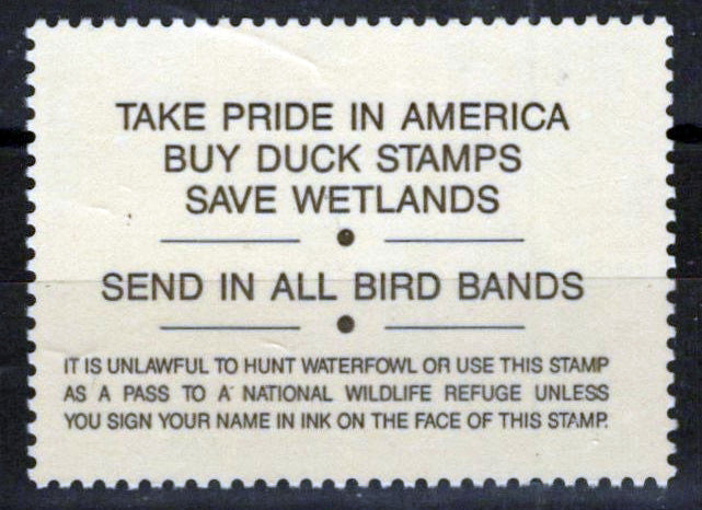 US RW59 MNH VF $15 Spectacled Elder Duck Revenue Zayix Stamps 0225MAR0077