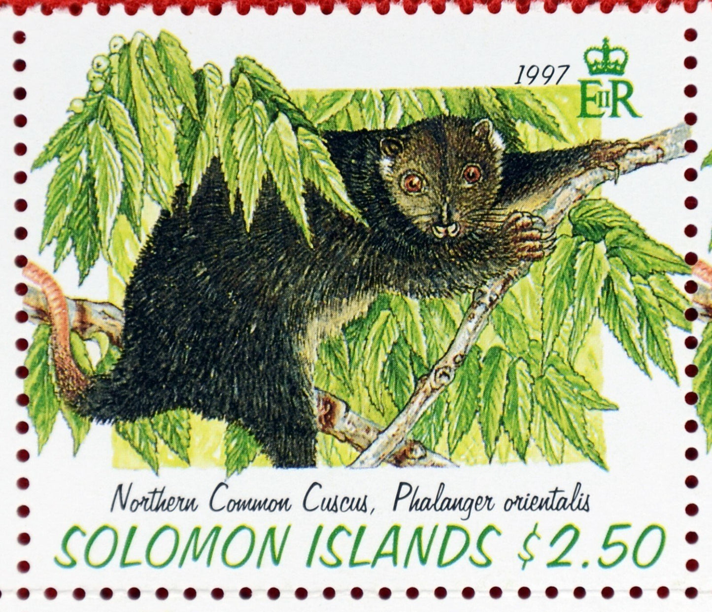 1997 Solomon Islands Arboreal Animals 843-846 MNH - Fruit Wildlife ZAYIX