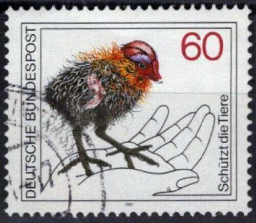 ZAYIX - Germany 1355 Used Wildlife Protection Baby Coot Birds 113022S118M