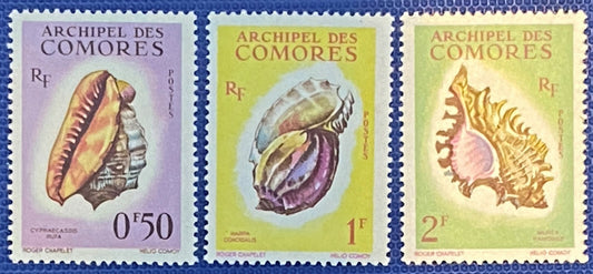 Comoros 48-50 MNH 1962 Marine Life Shells ZAYIX 012822-S45M