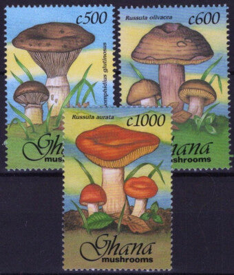 Ghana 1591-1593 MNH Mushrooms Plants Nature ZAYIX 021023S35