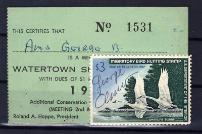 US Stamps RW33 Used Duck Stamp on Watertown Hunting License ZAYIX 1024M0212