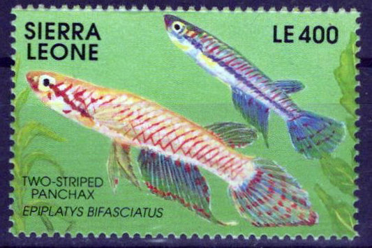 Sierra Leone 1364 MH Fish Marine Life Zayix Stamps 0225S0456