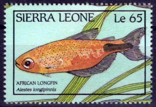 Sierra Leone 963 MH Fish Marine Life African Longfin Zayix Stamps 0225S0457