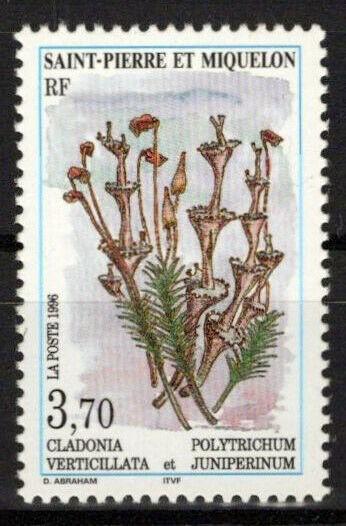 St. Pierre & Miquelon 625 MNH Plants Flowers Nature ZAYIX 0524S0238