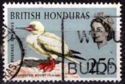 British Honduras 174 Used Wmk Upright Red-Footed Booby Bird ZAYIX 041123S152M