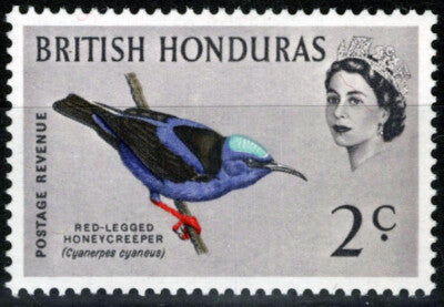 British Honduras 168 MNH Wmk Upright Honeycreeper Bird ZAYIX 041123S141M