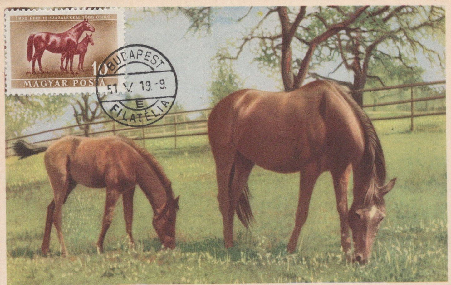 Hungary Maximum Cards FDC Horses Zayix Stamps ZAYIX 0125M0366