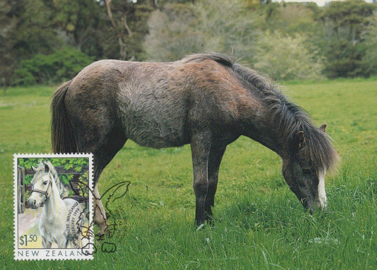 New Zealand Maximum Card FDC Horses Zayix Stamps 0125M0362